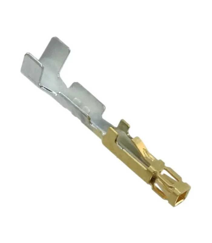 errebishop6005289