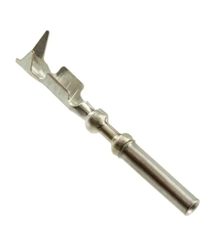 errebishop6016961
