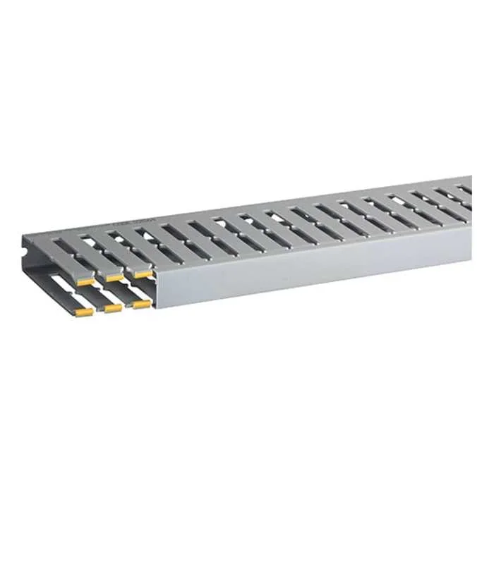 errebishop6047166