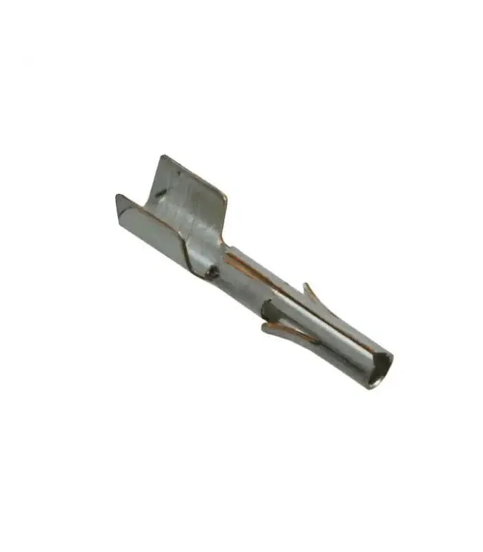 errebishop6047772