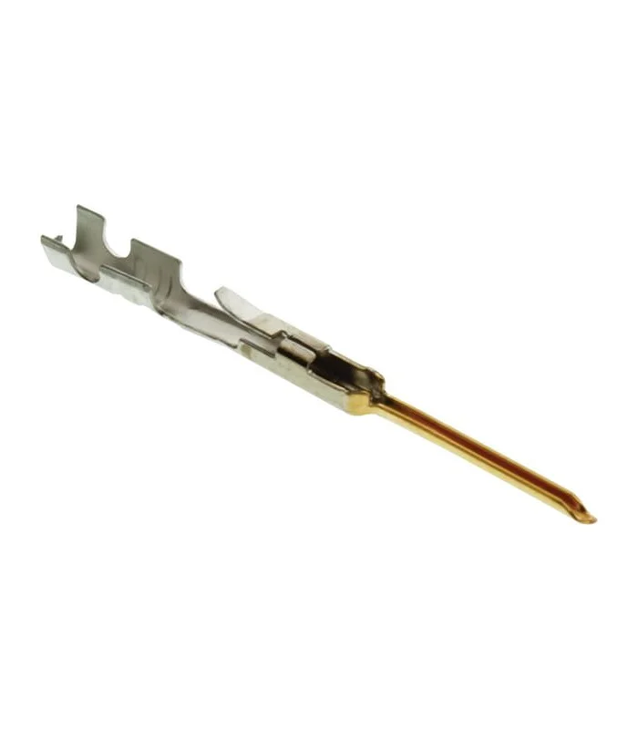 errebishop6048194