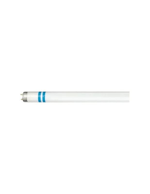 outletdellelettrico-16115228