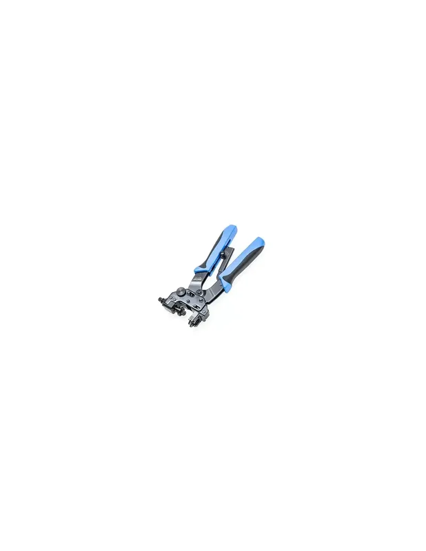 outletdellelettrico-16411947