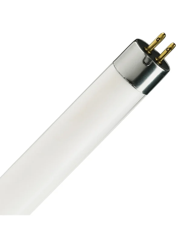 outletdellelettrico-26565248